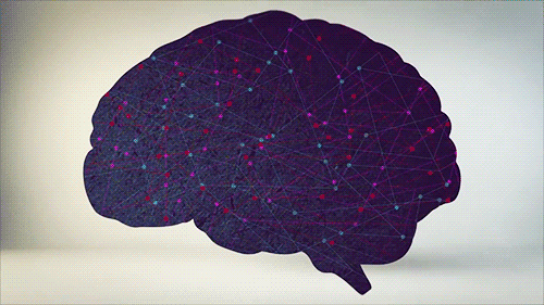 Что такое человеческий мозг?