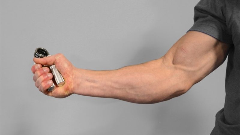 Эффективные упражнения для развития мышц кистей. Как накачать пальцы рук и запястье