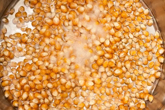 Здоровее, чем попкорн в микроволновке? Семена кукурузы в горшке 