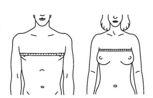 обхват груди женщины и мужчины