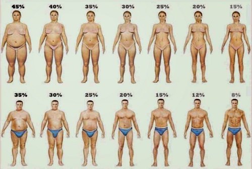 разный процент содержания жира