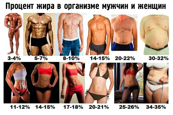 Процент жира в организме мужчины и женщины