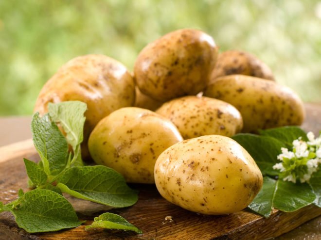 Как и когда вводить картофель в прикорм грудничку: как выбрать и приготовить пюре