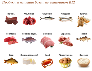 Витамин б12 в продуктах