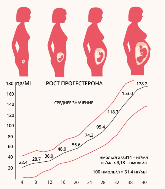 Рост прогестерона при беременности