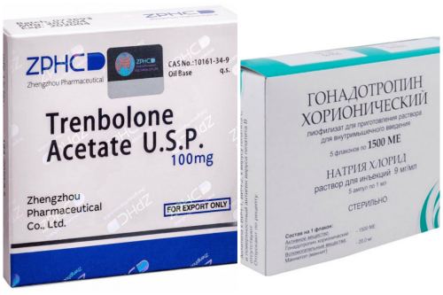 Trenbolone Acetate + Гонадотропин