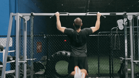 Pullups GIF by Hockey Training - Find & Share on GIPHY
