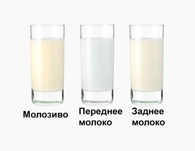 Какого цвета должно быть грудное молоко: жёлтое, прозрачное, голубое, зелёное, синее или красное