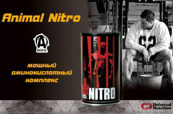 Animal Nitro от Universal Nutrition